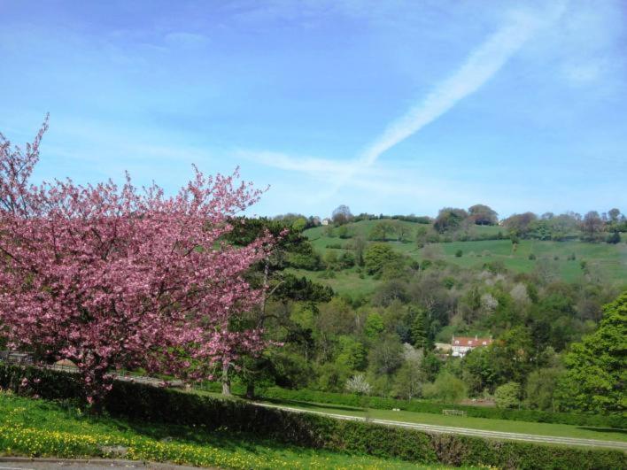 Beechlands B & B Sleights 외부 사진