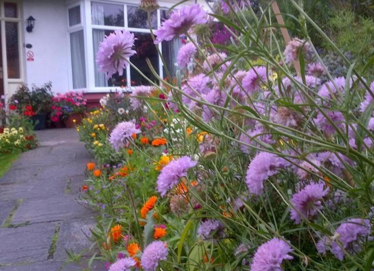 Beechlands B & B Sleights 외부 사진